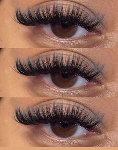 Long Thick Eyelashes Extensions, Extra Long Eyelash Extensions, Lash Inspo Eyelash Extensions Volume, Eyelash Goals Natural Long Lashes, Lashes Inspo Hybrid, Pretty Lash Extensions, Fluffy Lash Extensions