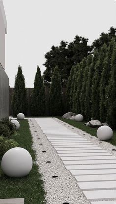 an outdoor garden with stepping stones and grass