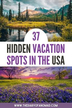 purple flowers and trees with the words 37 hidden vacation spots in the usa on it