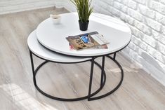 two tables with magazines and a potted plant on top