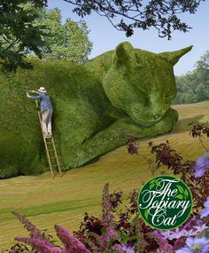 a man standing on top of a ladder next to a giant green cat in the grass