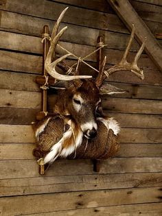 a deer head mounted to the side of a wooden wall with antlers on it