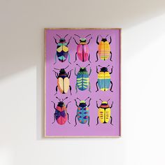 a framed print of colorful bugs on a white wall