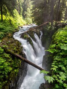 a small waterfall in the middle of a forest