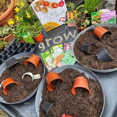 three trays filled with dirt and plants on top of a table