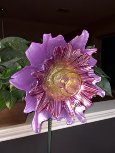 a purple flower sitting next to a potted plant