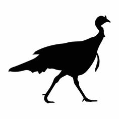 a black and white silhouette of a pheasant walking on the ground with its wings spread