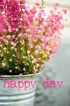 some pink flowers are sitting in a metal pot on the ground with other color swatches