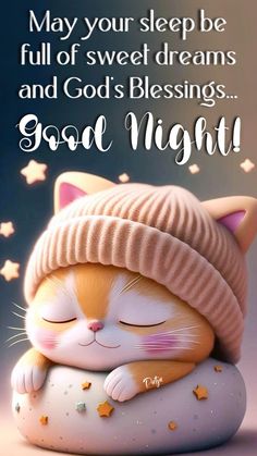 a cat sleeping on top of a pillow with the caption, may your sleep be full of sweet dreams and god's blessing good night