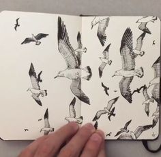 a hand holding an open notebook with birds flying around it and the pages are lined in black ink