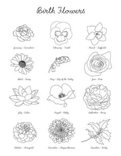 some flowers and birds on a white background with the words panche pinlemps 6