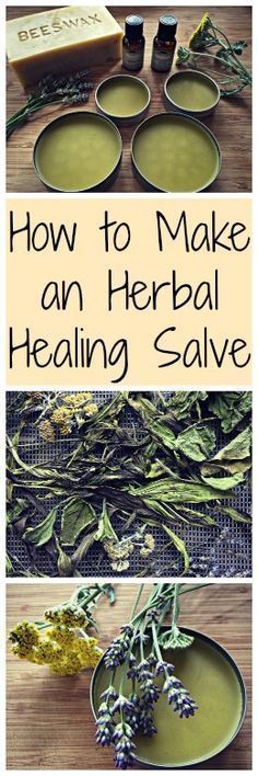 Lavender Salve, Healing Salves, Herbal Healing, Healing Herbs, Natural Home Remedies, Medicinal Herbs, Natural Home