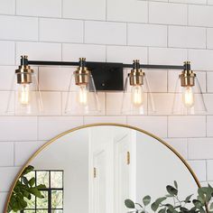 a bathroom vanity with three lights and a mirror on the wall next to a potted plant