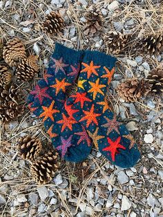 a pair of blue socks with red and orange stars on them sitting in the grass next to pine cones