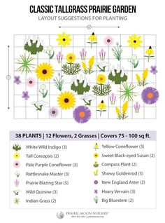 a poster with flowers on it and the words classic tall grass prairie garden in purple, yellow