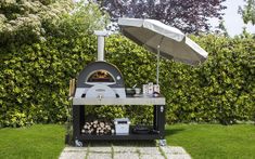 an outdoor bbq grill in the middle of a yard with an umbrella over it