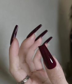 Cherry Red Burgundy Long Coffin Luxury Press on Nails - Etsy UK Ongles Bling Bling, Burgundy Acrylic Nails, Long Red Nails, Red Gel Nails, Nails Extra, Wine Nails, Luxury Press On Nails, Maroon Nails