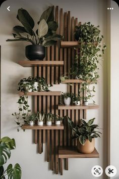 a wooden shelf filled with potted plants next to a wall mounted planter on it