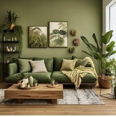 a living room with green walls and plants on the wall