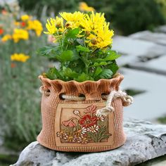 a potted plant sitting on top of a rock