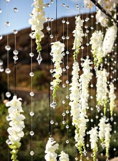 white flowers are hanging from the ceiling in front of a mountain backdrop with crystal beads