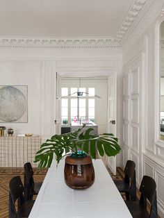 a long table with chairs and a plant on it in the middle of a room