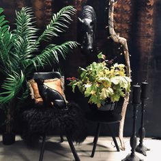 a chair and some plants in front of a wall