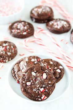 chocolate peppermint cookies on a white plate with candy canes in the background