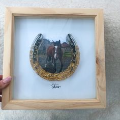 a hand holding up a framed photo with a horse in the middle and words star on it