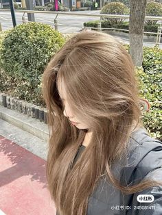 Different Light Brown Hair Shades, Light Brown Hair Japanese, Japanese Light Brown Hair, No Bleaching Hair Color Ideas, Milk Tea Powder Hair, Milktea Hair Color For Short Hair, Milktea Ash Color Without Bleach, Bubble Tea Brown Hair, Milk Tea Hair Highlights