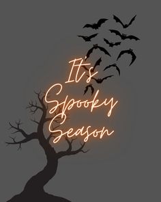 a neon sign that says it's spooky season with bats flying around