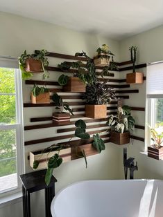 a bath tub sitting under a window next to a wall mounted with potted plants