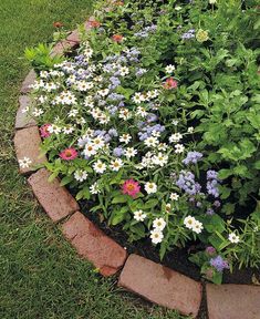 a flower bed with many different types of flowers in it