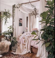 a bedroom with lots of plants in the corner and a canopy bed on top of it