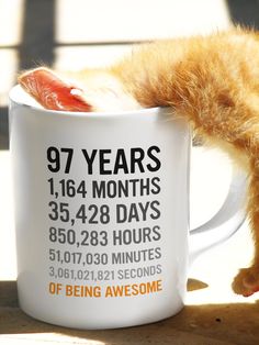 an orange cat drinking out of a coffee mug that reads 50 years 60 months,