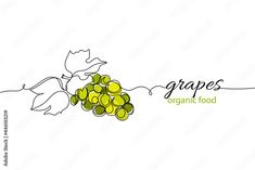 grapes organic food logo design with leaves and berries on white background, hand drawn illustration