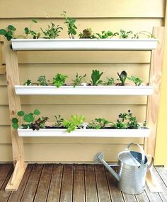 a shelf filled with plants sitting on top of a wooden floor