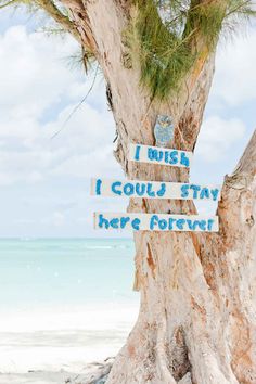 a wooden sign that says i miss, i could't stay here forever on a tree at the beach