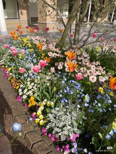 colorful flowers line the side of a brick wall in front of a tree and building