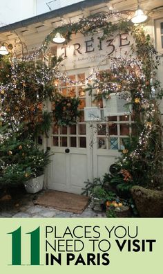 the front entrance to a store with lights on it and plants growing out of the doors