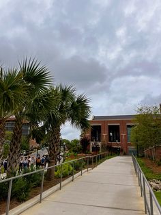 a walkway leading to a building with palm trees on both sides and people in the background