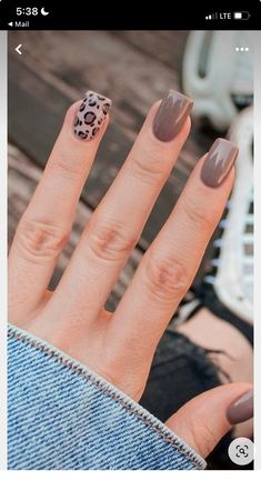 Fall Nail Colors With Accent Nail, Taupe Leopard Nails, 2023 Fall Nails Short, Fall Nail Designs 2023 Square, Fall Lepord Print Nails, Fall Nails 2023 Trends Dip, Neutral Leopard Nails, Chetta Print Nail, Latte Nail Ideas