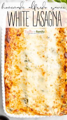 One image on this pin graphic with a text box at the top. Shredded Chicken Lasagna, White Lasagna With Chicken, Lasagna With Chicken, White Lasagna Recipe, Chicken Alfredo Lasagna Recipe, Creamy Lasagna, Lasagna Recipe Without Ricotta, White Sauce Lasagna, Chicken Lasagne