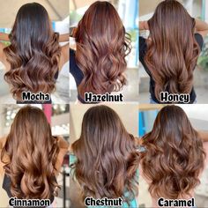 Hairstyles with different color shade Brown Colour Hair Shades, Straight Chestnut Brown Hair, Hair Color Skin Tone Chart, Trendy Hair Colours 2023, Chestnut Brown Hair Colors, Trendy Fall Hair Color For Brunettes, Hair Colour Brown Shades, Hair Color Streaks For Brunettes, Caramel Hair Brown