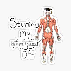 an illustration of the muscles and text that says, study your atlas gluteus maximus off