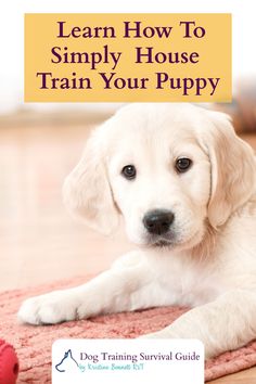 a puppy laying on the floor with its paw up to it's face and text that reads learn how to simply house train your puppy