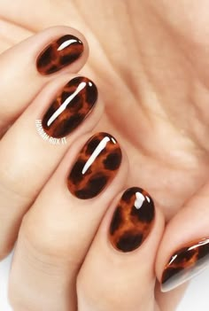 Carey Nails, Fall Colour Palette, Tortoiseshell Nails, Nails Styles, Brown Nails Design, Body Clock, Thanksgiving Nail Art, Makeup Nails Art, Minimalist Nail Art