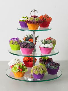 a three tiered glass cake stand filled with cupcakes and succulents