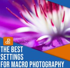 the best settings for macro photography