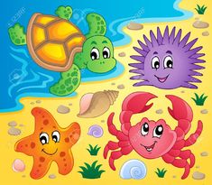 three sea animals on the beach with shells and seashells stock photo - 1387982